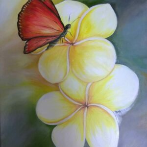 Frangipani